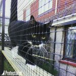 protectapet-cat-fence