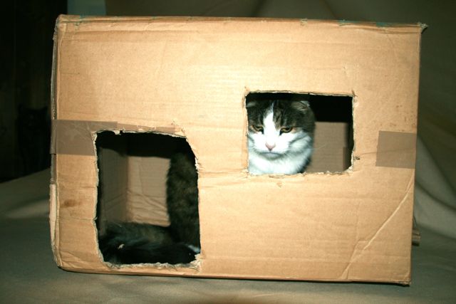 box