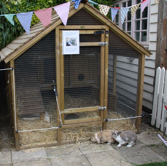 RABBIT HUTCHES AND HOW TO CHOOSE. WHICH 