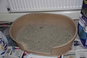 old cat litter tray