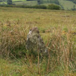 standing stone near hedge on Codsend moor furthest from hoar moor.